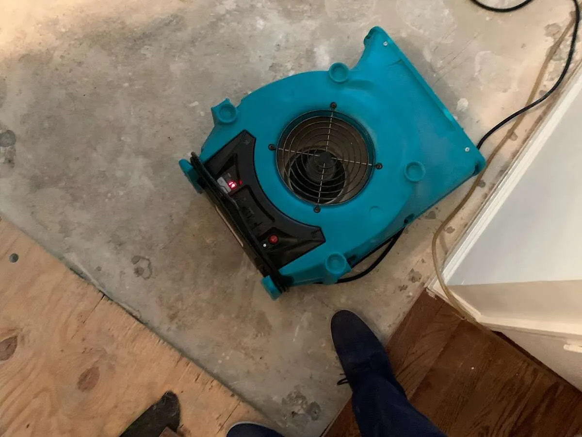 Air mover drying subfloor during Commercial Water Damage Restoration in North Bend